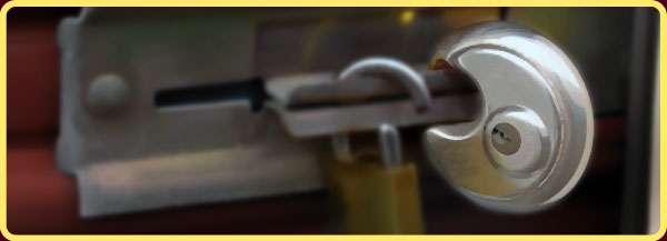 Disc lock on storage door